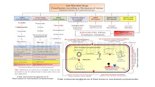 Antibiotics Classification According to Mechanism of Action  Antibiotics  Antibiotics Classes [upl. by Johan]