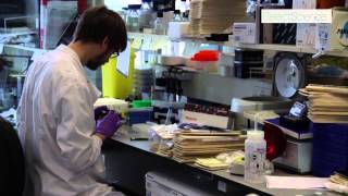 Extracellular Matrices Innovative Cancer Research at Beatson Institute [upl. by Yand]