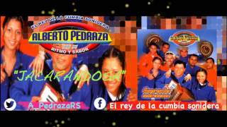 Alberto Pedraza  Jacarandosa Audio Oficial [upl. by Segroeg182]