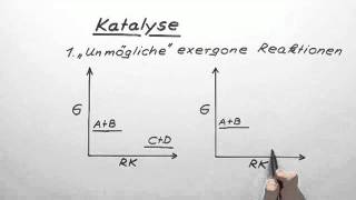 Katalyse  Chemie  Organische Chemie [upl. by Lon]