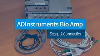 How to Connect the Bio Amp to PowerLab and LabChart [upl. by Orteip365]