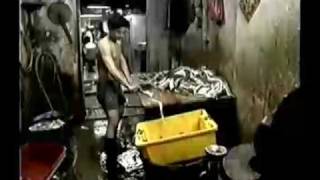 Kowloon Walled City documentary Part 14 [upl. by Ahsercal462]