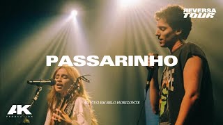 Carol Biazin Gabriel Froede  passarinho Ao Vivo Em Belo Horizonte REVERSA TOUR 2K Quality [upl. by Eneroc465]