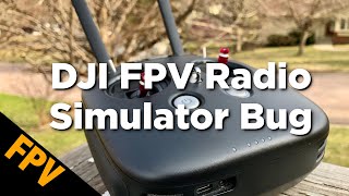 DJI FPV Radio Transmitter  Flight Simulator Bug [upl. by Kcim]