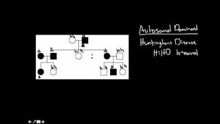 Pedigree Charts Autosomal Dominant and Recessive [upl. by Oxford]