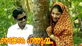 തെക്കേലെ പാത്തുമ്മ  Malayalam Mappila Songs  Malayalam Album Songs 2015 HD [upl. by Moule739]