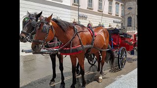 WIENER FIAKER von und mit Sonja Hubmann [upl. by Idzik]