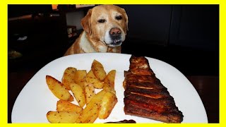 Dog eating BBQ Ribs  ASMR MUKBANG [upl. by Gadmann630]