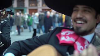 Mariachi Dos Aguilas  Live in Frankfurt Germany [upl. by Adnilram]