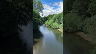 Treforest River Taff Bridge🏴󠁧󠁢󠁷󠁬󠁳󠁿walk southwales aberdareiron aberdare wales [upl. by Creighton772]