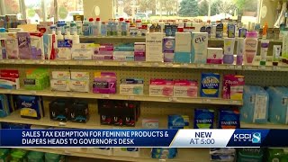 State representatives discuss importance of tampon sales tax exemption amid rising costs [upl. by Daraj229]