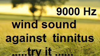 10 minutes wind at 9000 Hz as sound therapy for tinnitus [upl. by Lugar]