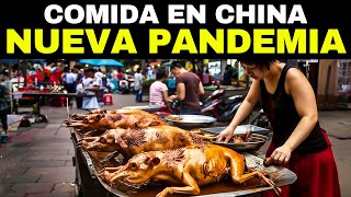 Los 20 Alimentos Más Extraños Que Se Comen En China [upl. by Weasner281]