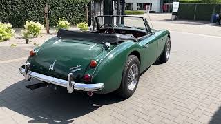 1967 AustinHealey 3000 MK3  Walkaround [upl. by Arehs]