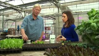 The Big Idea Hydroponic and Vertical Farming [upl. by Erny]