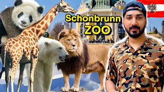 The oldest zoo in europe  Tiergarten Schönbrunn zoo Vienna Austria 🇦🇹 [upl. by Orna297]