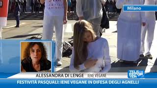 Festività pasquali Iene Vegane in difesa degli agnelli [upl. by Iadrahc661]