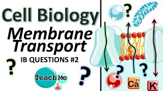 14  IB QUESTIONS 2  Membrane Transport  IB Biology  TeachMe [upl. by Burkhard]