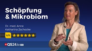 Mikrobiom und Menschsein  Dr Anne Katharina Zschocke  Der Sinn des Lebens  QS24 [upl. by Novah]