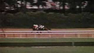 Ruffian vs Foolish Pleasure  The Great Match 1975 [upl. by Jolene]