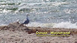 Ostsee  Weststrand [upl. by Palecek]