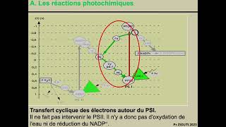 Physiologie végétale  Nutrition carbonée 7  La chaine de transfert des électrons [upl. by Etyak]