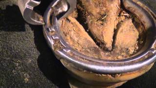 Farrier Tools for Removal of a Horseshoe [upl. by Jerman420]