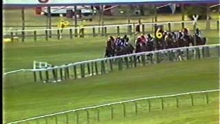 IMAPRINCE NZ 1985 Wellington Cup [upl. by Acsisnarf524]