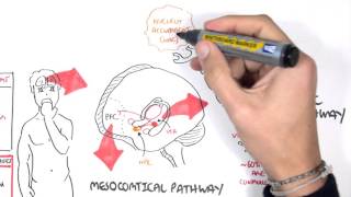 Brief Introduction to Psychosis [upl. by Nahtan547]