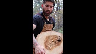 Lets see how wet it is wood woodsplitting axe [upl. by Ruth]