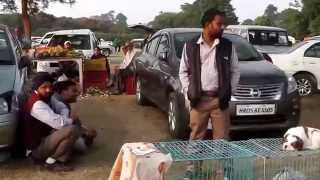 Amazing Dog Show in Ludhiana [upl. by Aral]