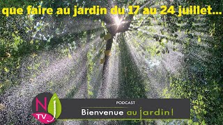 QUE FAIRE DANS VOTRE JARDIN DU 17 AU 24 JUILLET  LES BONS CONSEILS PRATIQUES DE PATRICK ET ROLAND [upl. by Shaw]