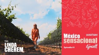 Querétaro nos sorprende con sabores únicos  México Sensacional Ep 1 [upl. by Ahgem]