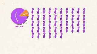 Meiosis cell division  Redmedbd [upl. by Pernas]