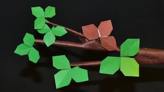 Origami Leaves [upl. by Hsiri]