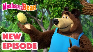 Masha and the Bear 2024 🎬 NEW EPISODE 🎬 Best cartoon collection 🥔 Soup Pursuit 🥕🍲 [upl. by Haidabo]