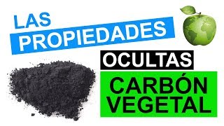 Todos los Usos y Propiedades del Carbón Vegetal [upl. by Lentha]