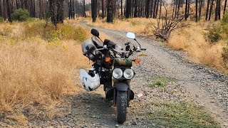 My Honda Ruckus Left Me Stranded On A Long Distance Trip Solo WABDR Run Part 22 [upl. by Lienet]