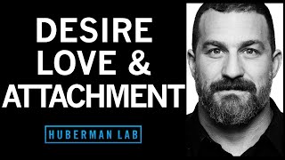 The Science of Love Desire and Attachment [upl. by Johannessen]