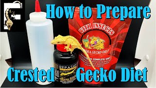 ARE YOU FEEDING YOUR GECKOS WRONG  How to Prepare Crested Gecko Diet [upl. by Gnort907]