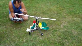 NEW GYROCOPTER RC PLANE [upl. by Rivera205]