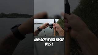 Ein toller Tag am Rhein  fishing river adventure [upl. by Valerian]