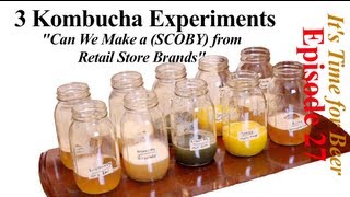 Possible to Make Kombucha SCOBY from Retail Brand  Its Time for Beer  Episode 27 [upl. by Shandy978]