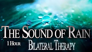 Bilateral Therapy  Rain  Nature Sounds  Release Stress PTSD Anxiety  EMDR Brainspotting [upl. by Curcio]