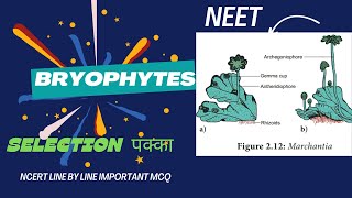 PLANT KINGDOM CLASS 11BRYOPHYTESNEETNCERT LINE BY LINE IMPORTANT MCQ [upl. by Ellehc]