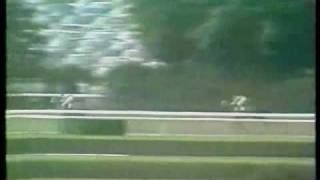 Secretariat in the 1973 Belmont  ET Flying Theme [upl. by Marchall457]