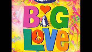 Grooverider Universe Big Love 1993 [upl. by Kallick]