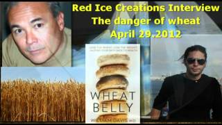 Dr William Davis  The Dangers of Wheatby Red Ice Creations April 29 2012 [upl. by Whang]