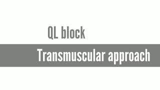 Transmuscular quadratus lumborum block [upl. by Nalloh629]