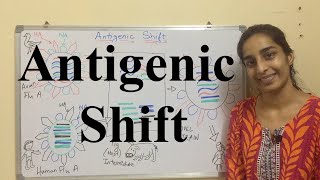 Antigenic Shift  Antigenic Shift in Influenza Virus  Science Land [upl. by Anelem]